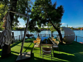 Alek Lux House